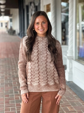 GarmentWashed Texture Low Impact Manufacturing Charlie B Long Sleeve Crew Sweater in Sepia