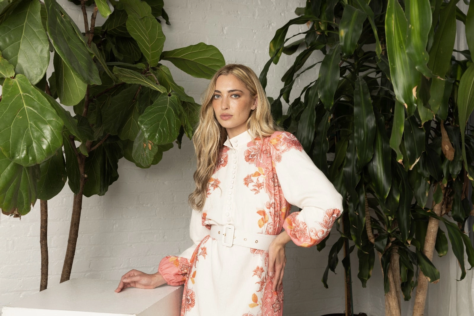 petite size Avalle Dress