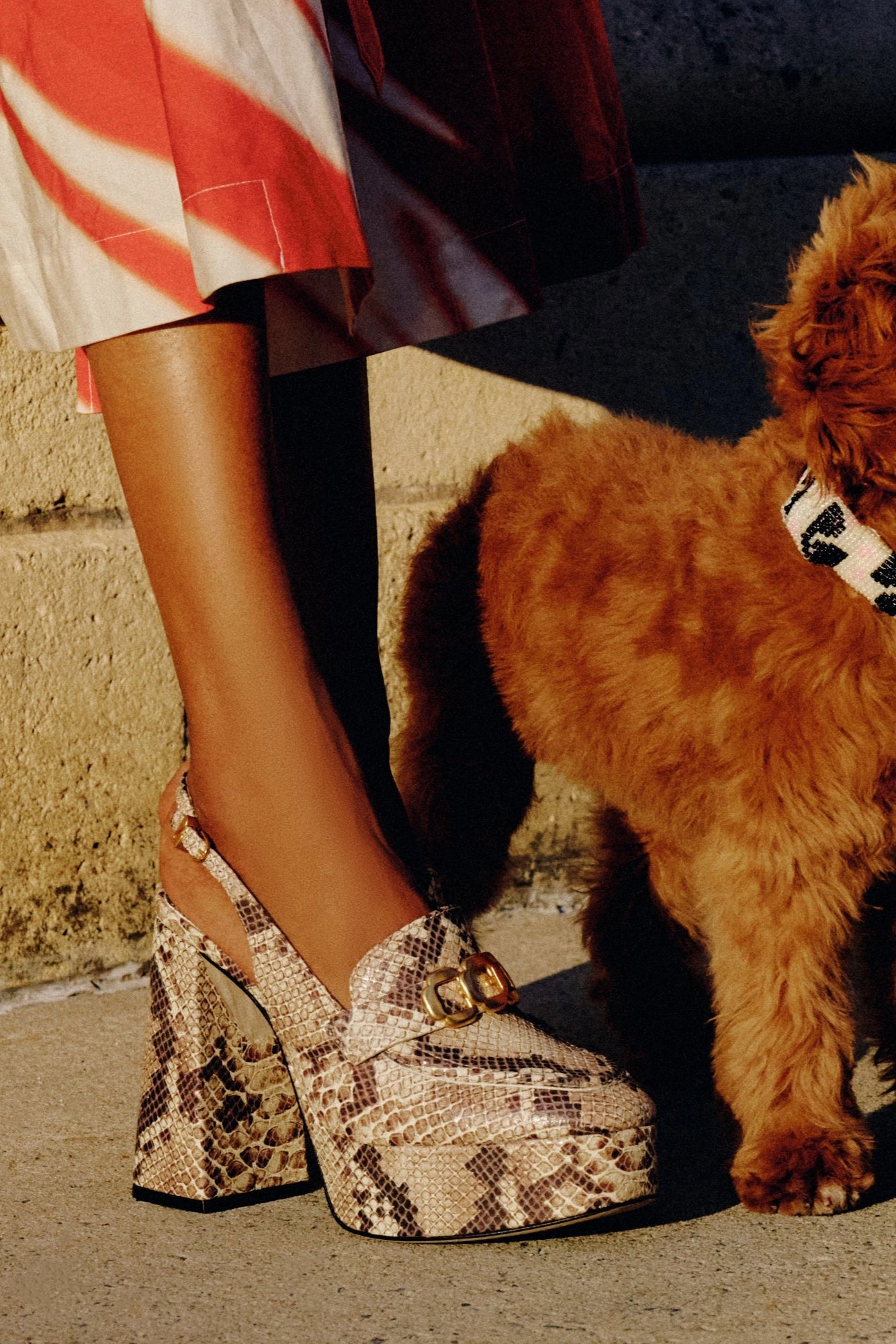 Harrington Loafer Hi In Neutral Snake Stamped Leather Autumn Tone Trend Glow