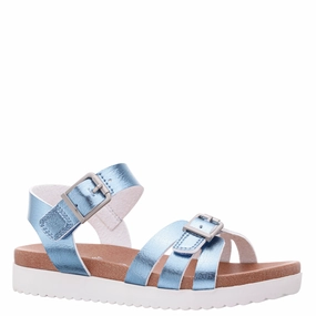 Abrasion Resistant Straps LACEY-BLUE