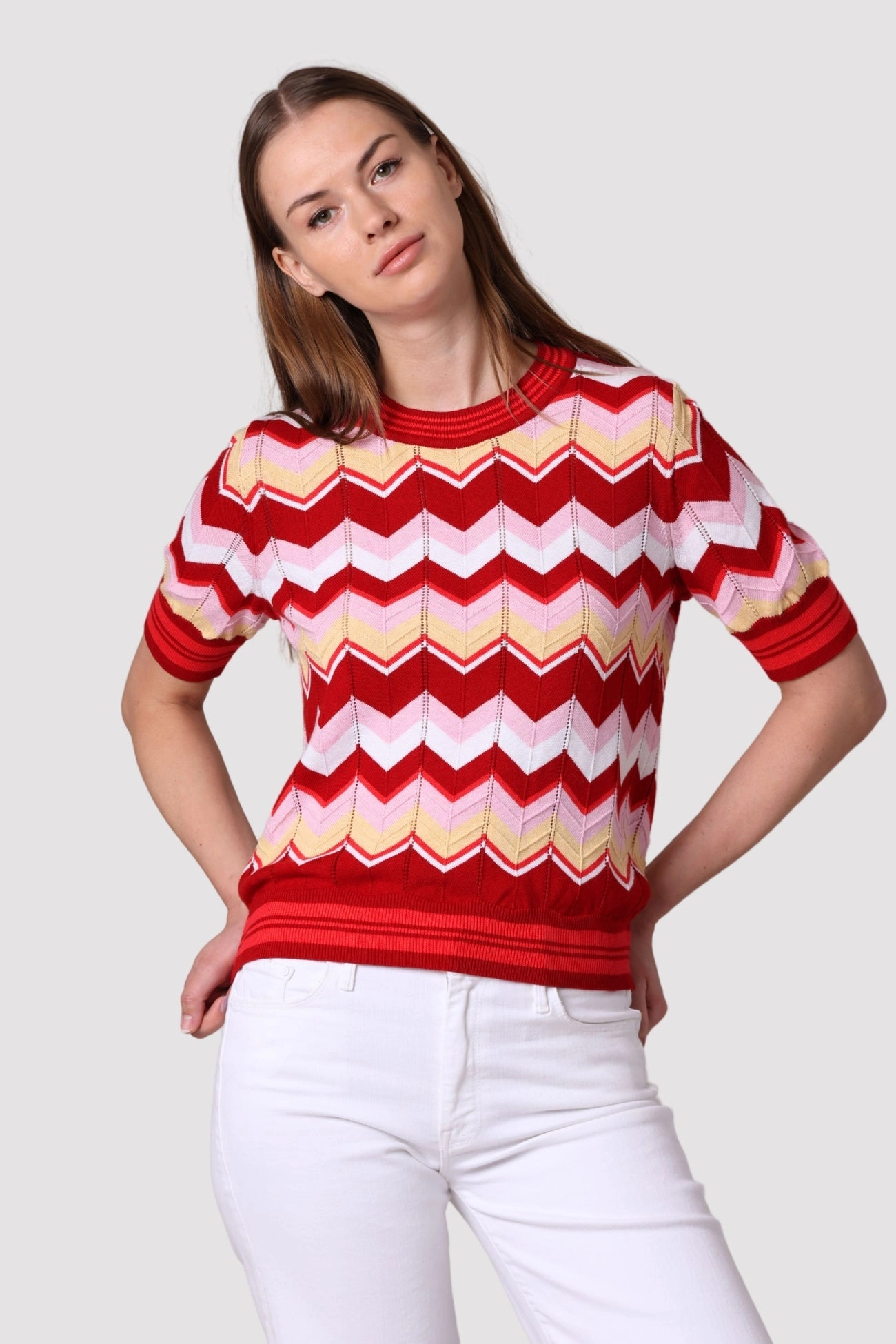 Convertible Collar PolyesterBlend CHEVRON POINTELLE CREW TEE