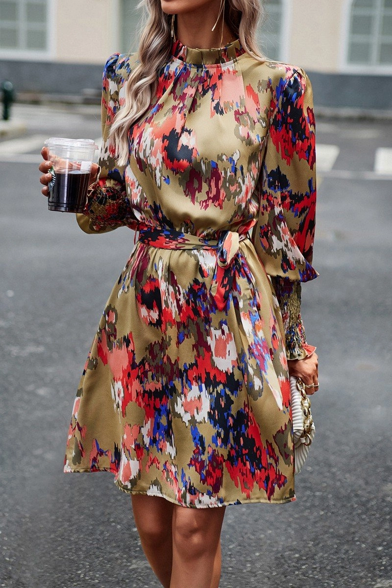 Smart Layer Wear WOMEN SHIRRED HIGH NECK BELTED PRINTING DRESS