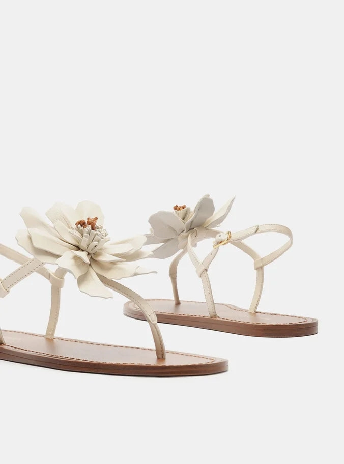 Daisy Leather Flat flat sandals Wander Wear