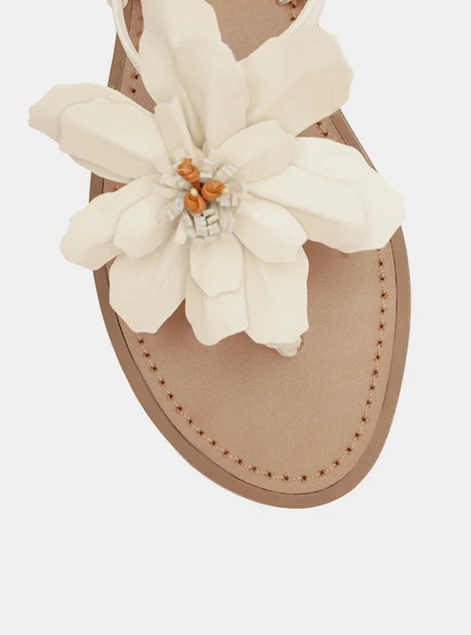 Daisy Leather Flat Sun Ready Beach Sandals for Men