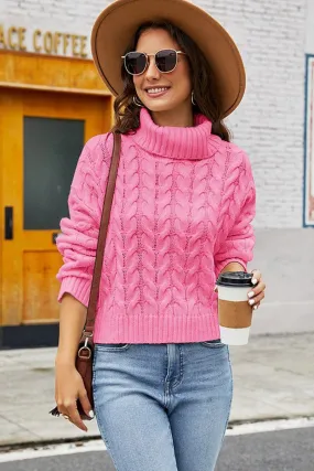 WOMEN TWIST CHUNKY CABLE KNIT TURTLE NECK SWEATER AntiOdorTechnology