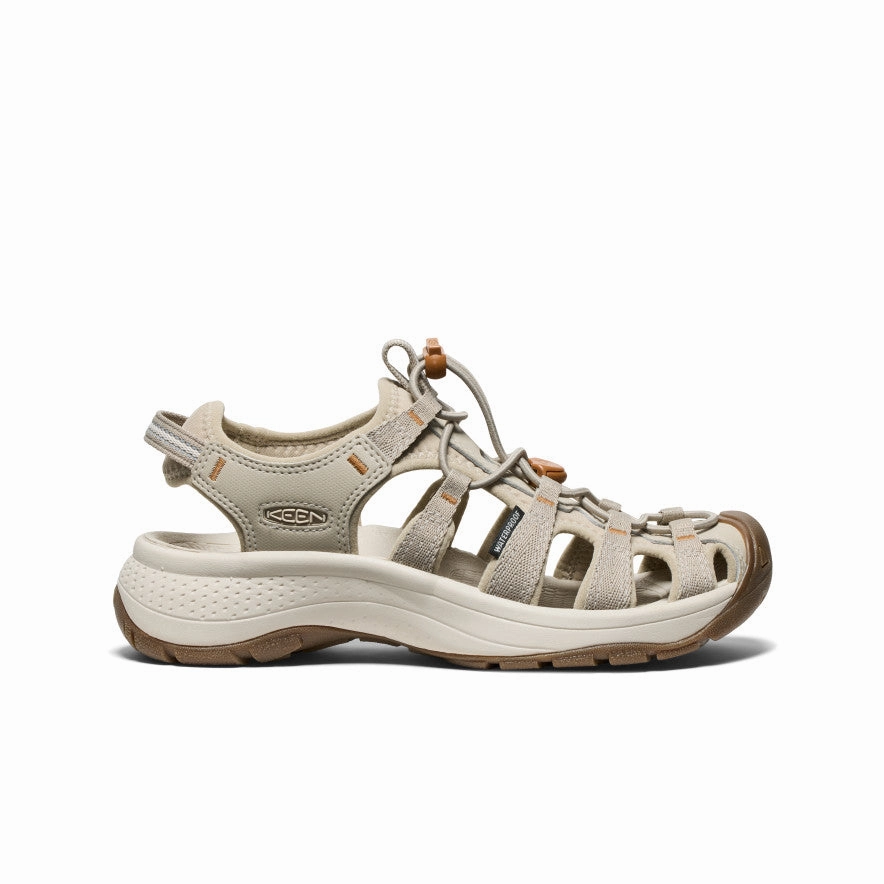 Padded Touch Non toxic Women's Astoria West Sandal  |  Plaza Taupe/Roasted Pecan
